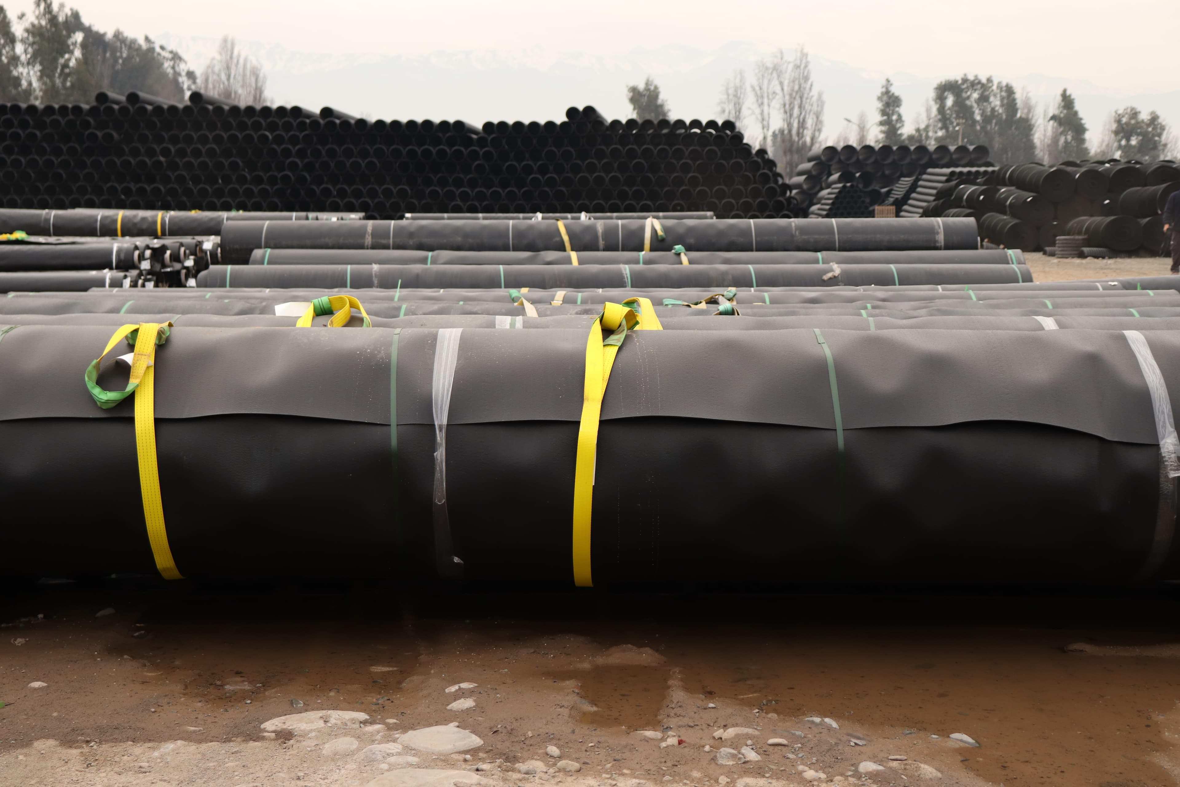 Más de 30 años en el mercado.